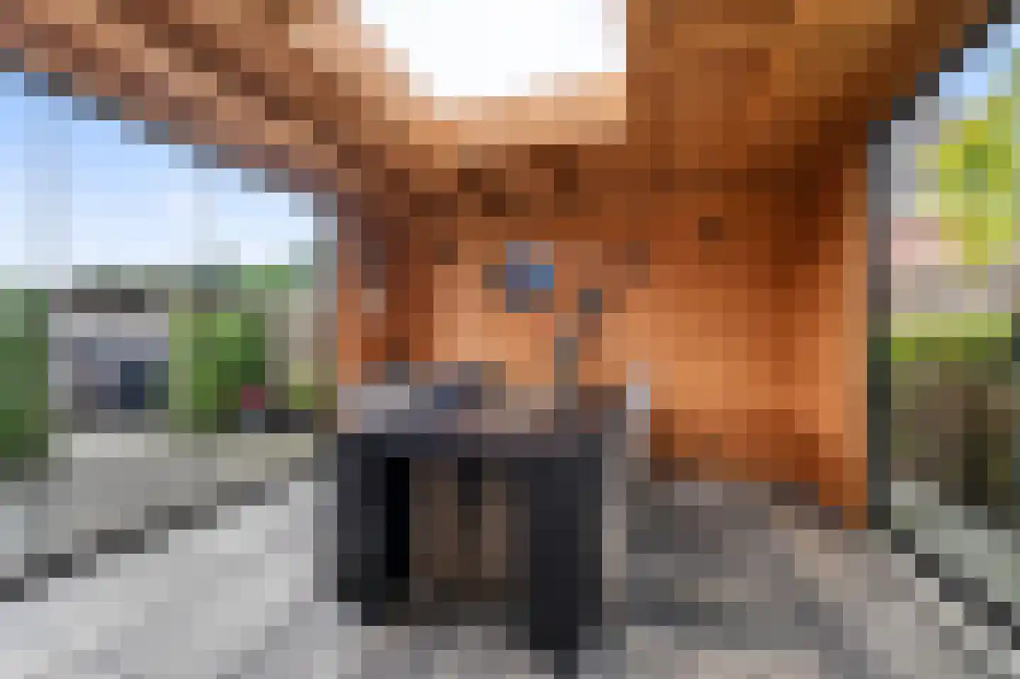 Hillegondastraat 5 Klazienaveen thumbnail 17