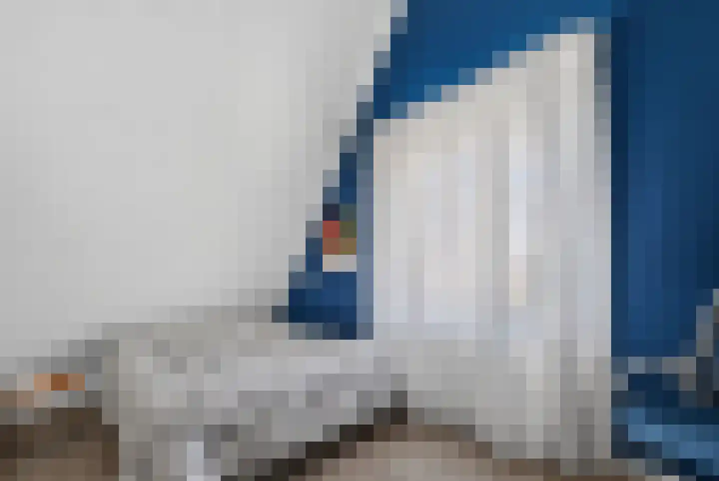 Hillegondastraat 5 Klazienaveen thumbnail 30