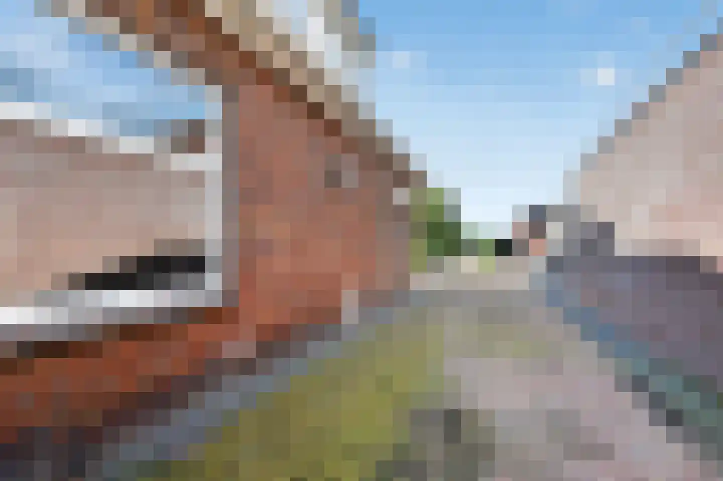 Hillegondastraat 5 Klazienaveen thumbnail 34