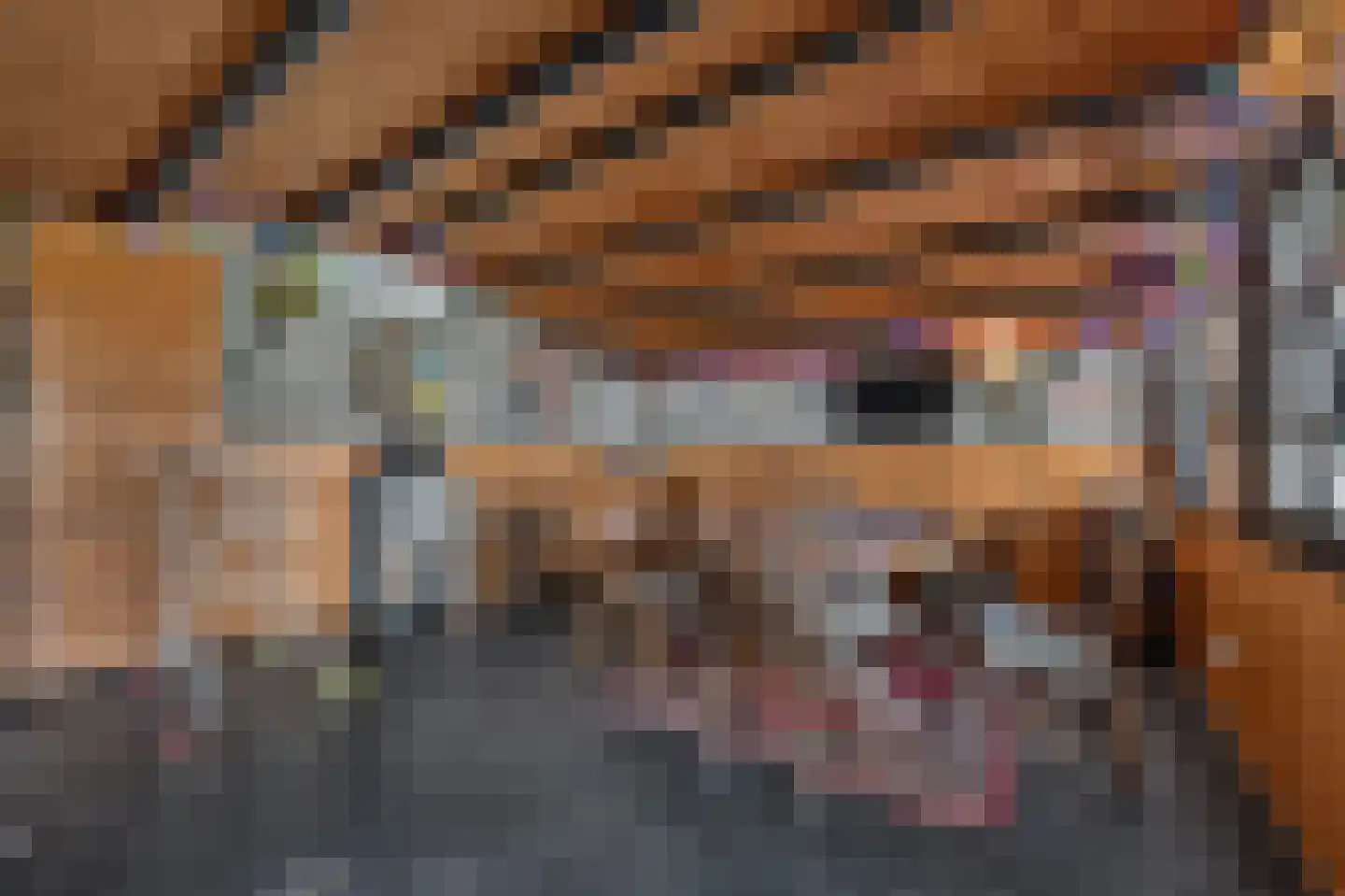 Hillegondastraat 5 Klazienaveen thumbnail 42