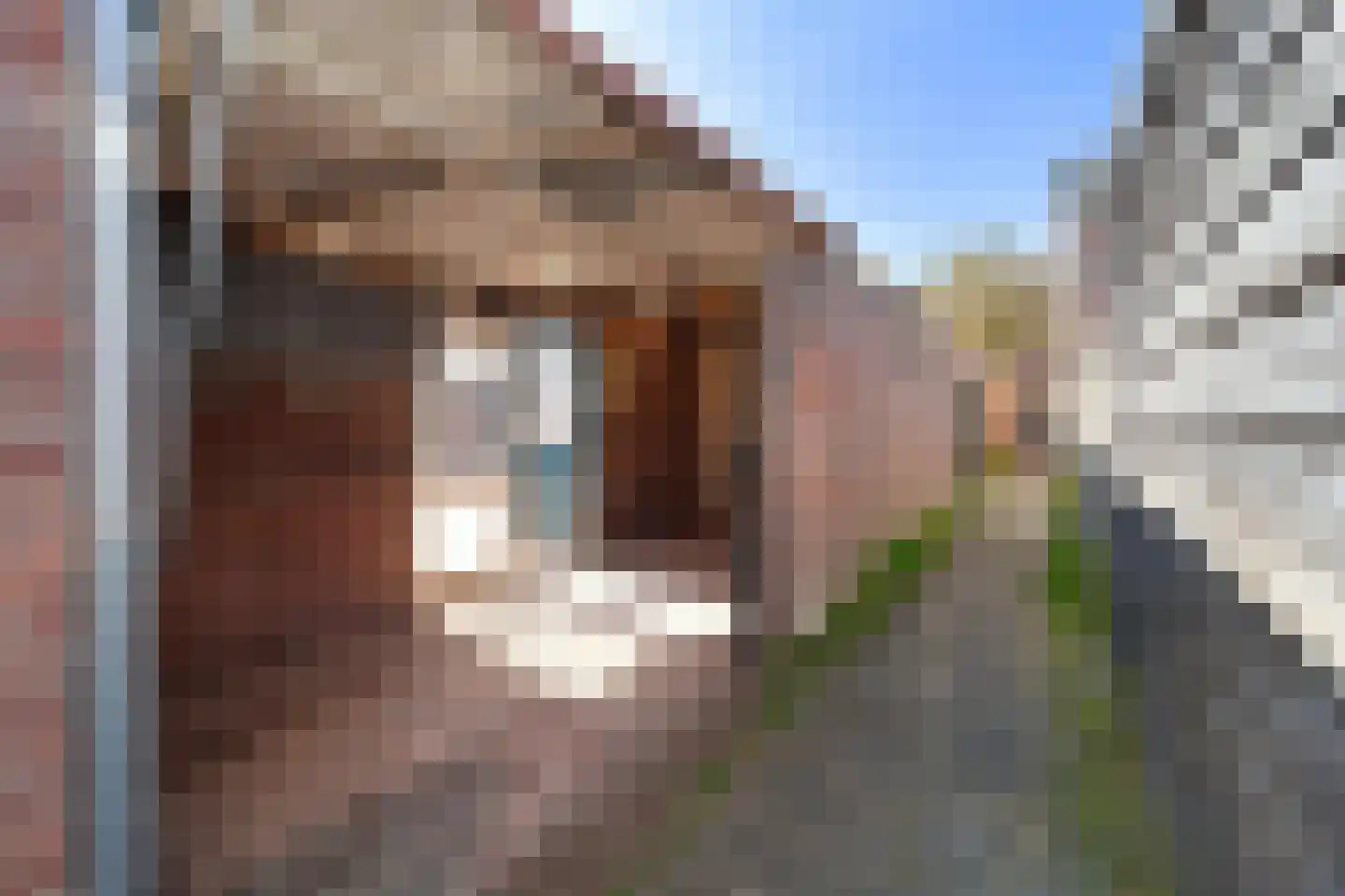 Hillekensacker 1050 Nijmegen thumbnail 16