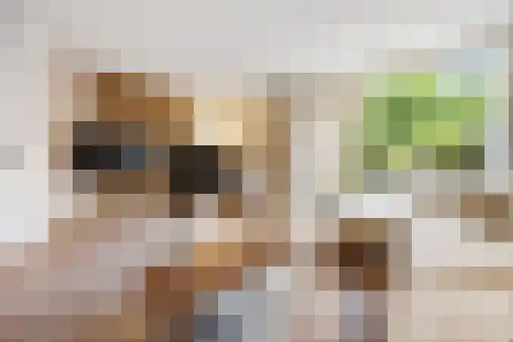 Hillekensacker 1067 Nijmegen thumbnail 10