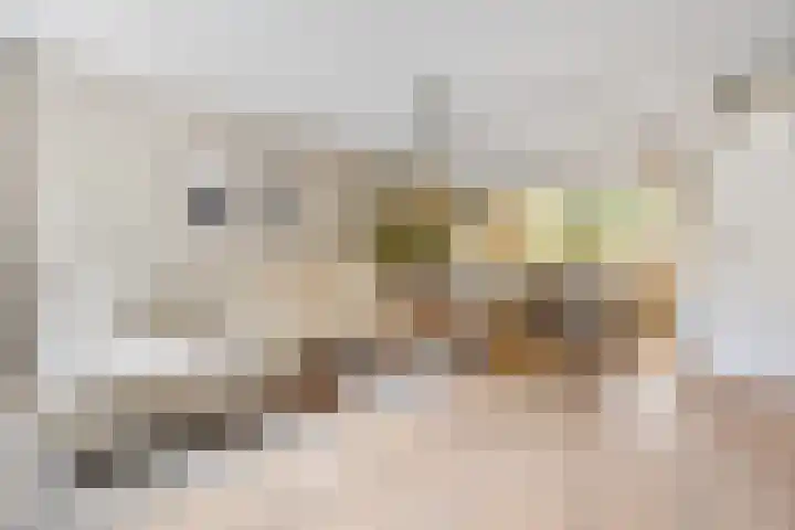 Hillekensacker 1067 Nijmegen thumbnail 12
