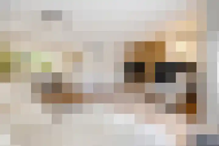 Hillekensacker 1067 Nijmegen thumbnail 13