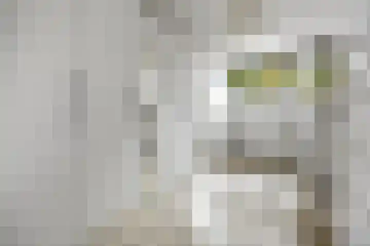 Hillekensacker 1067 Nijmegen thumbnail 15