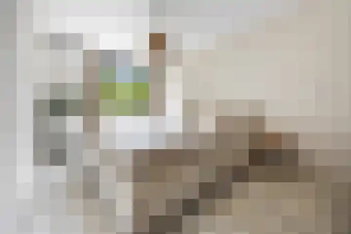 Hillekensacker 1067 Nijmegen thumbnail 17