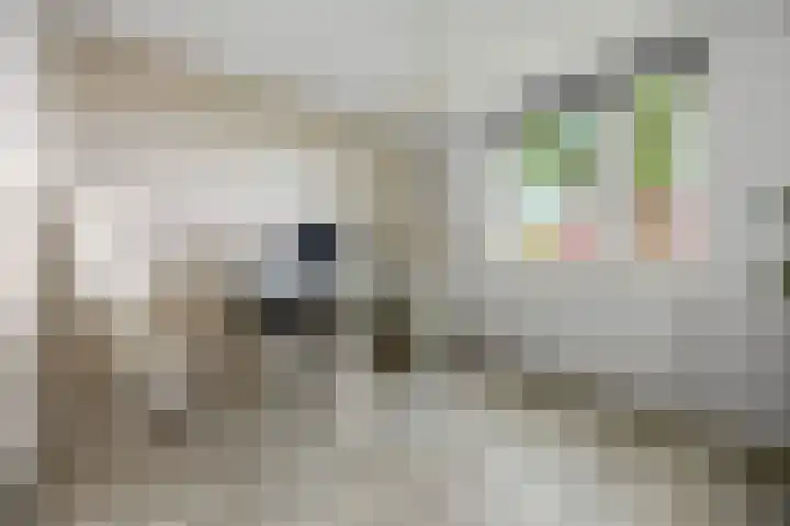 Hillekensacker 1067 Nijmegen thumbnail 20
