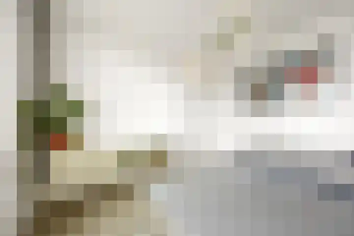 Hillekensacker 1067 Nijmegen thumbnail 21