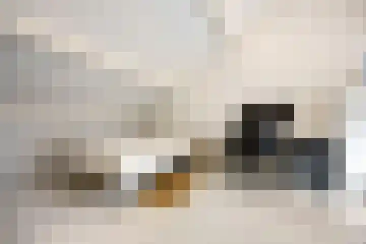 Hillekensacker 1067 Nijmegen thumbnail 30