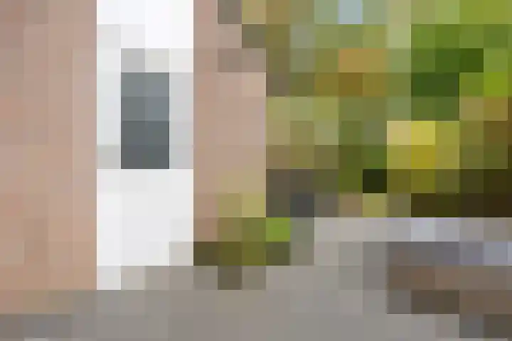 Hillekensacker 1067 Nijmegen thumbnail 34
