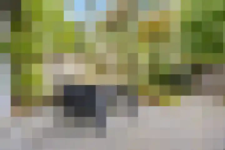Hillekensacker 1067 Nijmegen thumbnail 36