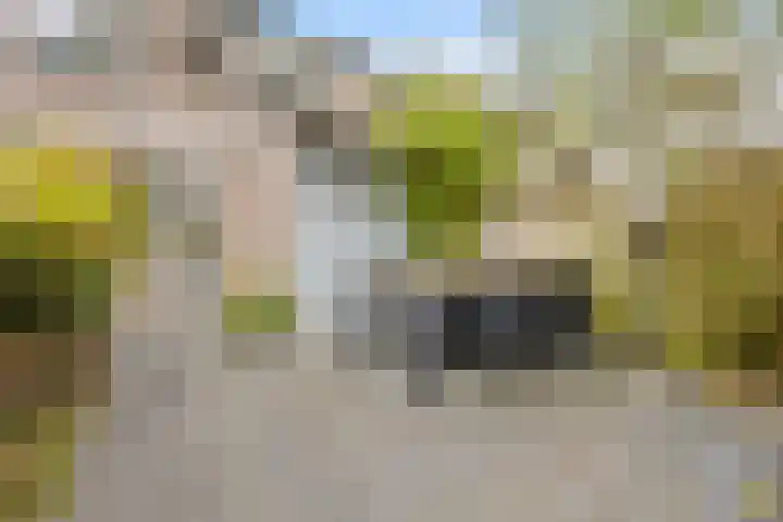 Hillekensacker 1067 Nijmegen thumbnail 37