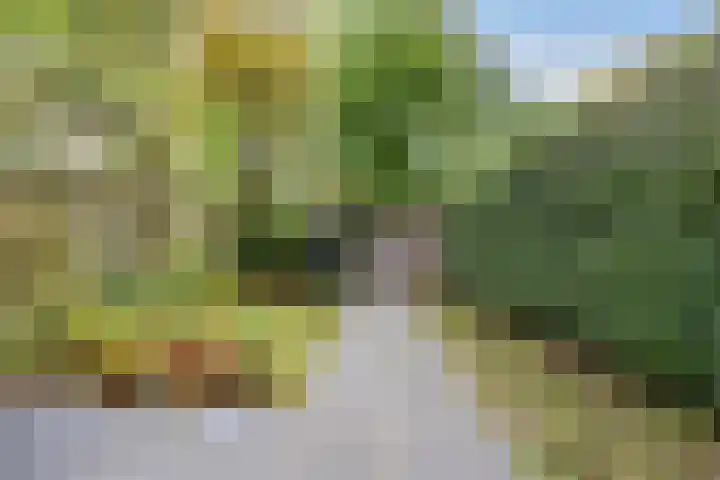 Hillekensacker 1067 Nijmegen thumbnail 38