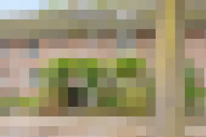 Hillekensacker 1067 Nijmegen thumbnail 39