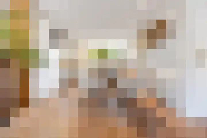 Hillekensacker 1067 Nijmegen thumbnail 5