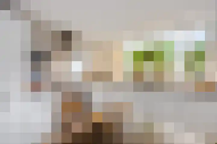 Hillekensacker 1067 Nijmegen thumbnail 8