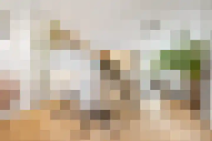 Hillekensacker 1067 Nijmegen thumbnail 9