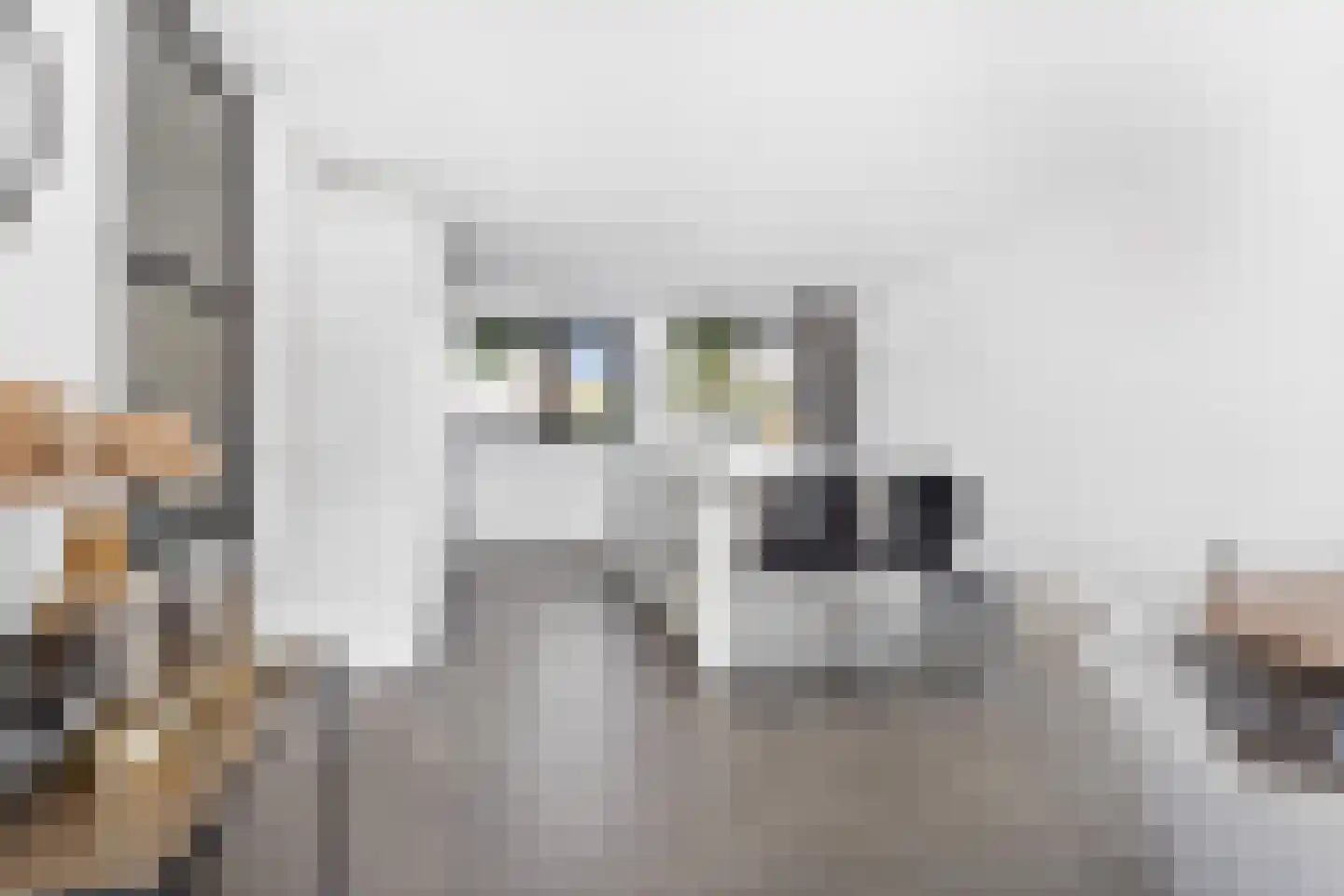 Hillekensacker 1111 Nijmegen thumbnail 16