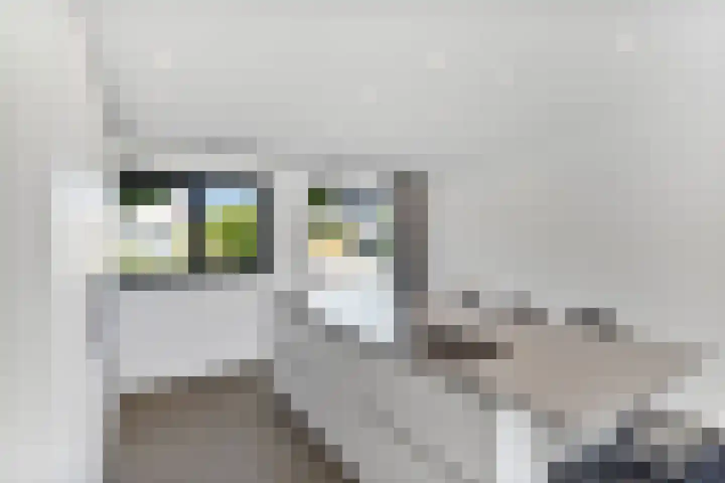 Hillekensacker 1111 Nijmegen thumbnail 17