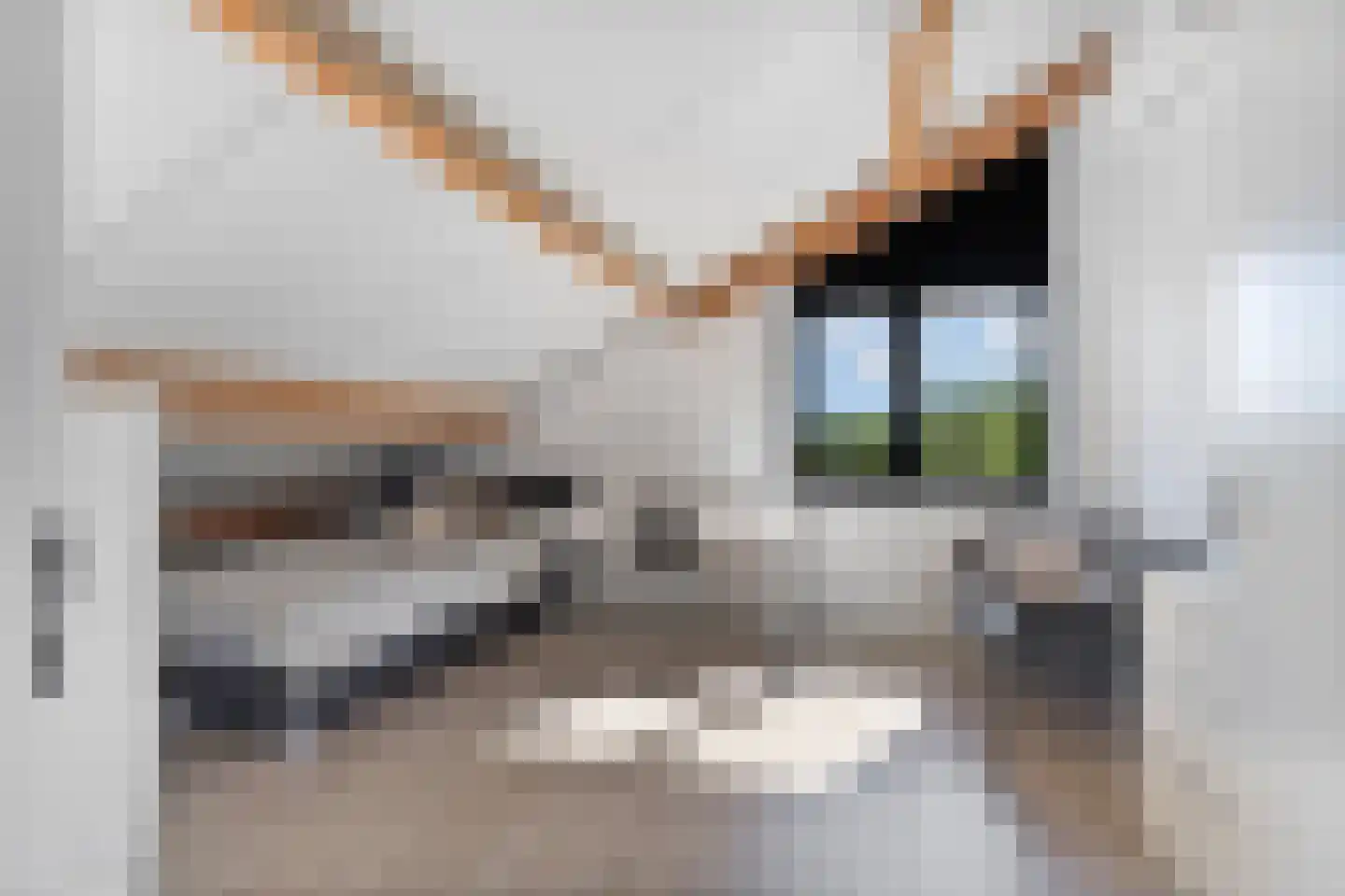 Hillekensacker 1111 Nijmegen thumbnail 41