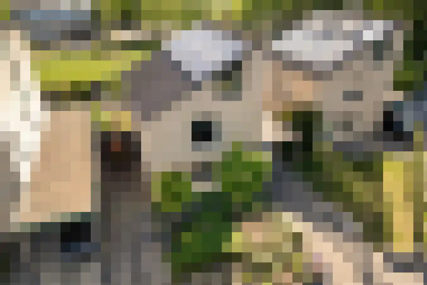 Hillekensacker 1111 Nijmegen thumbnail 61