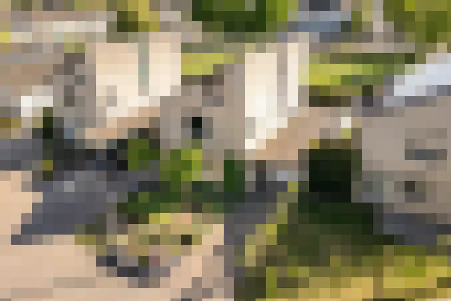 Hillekensacker 1111 Nijmegen thumbnail 62