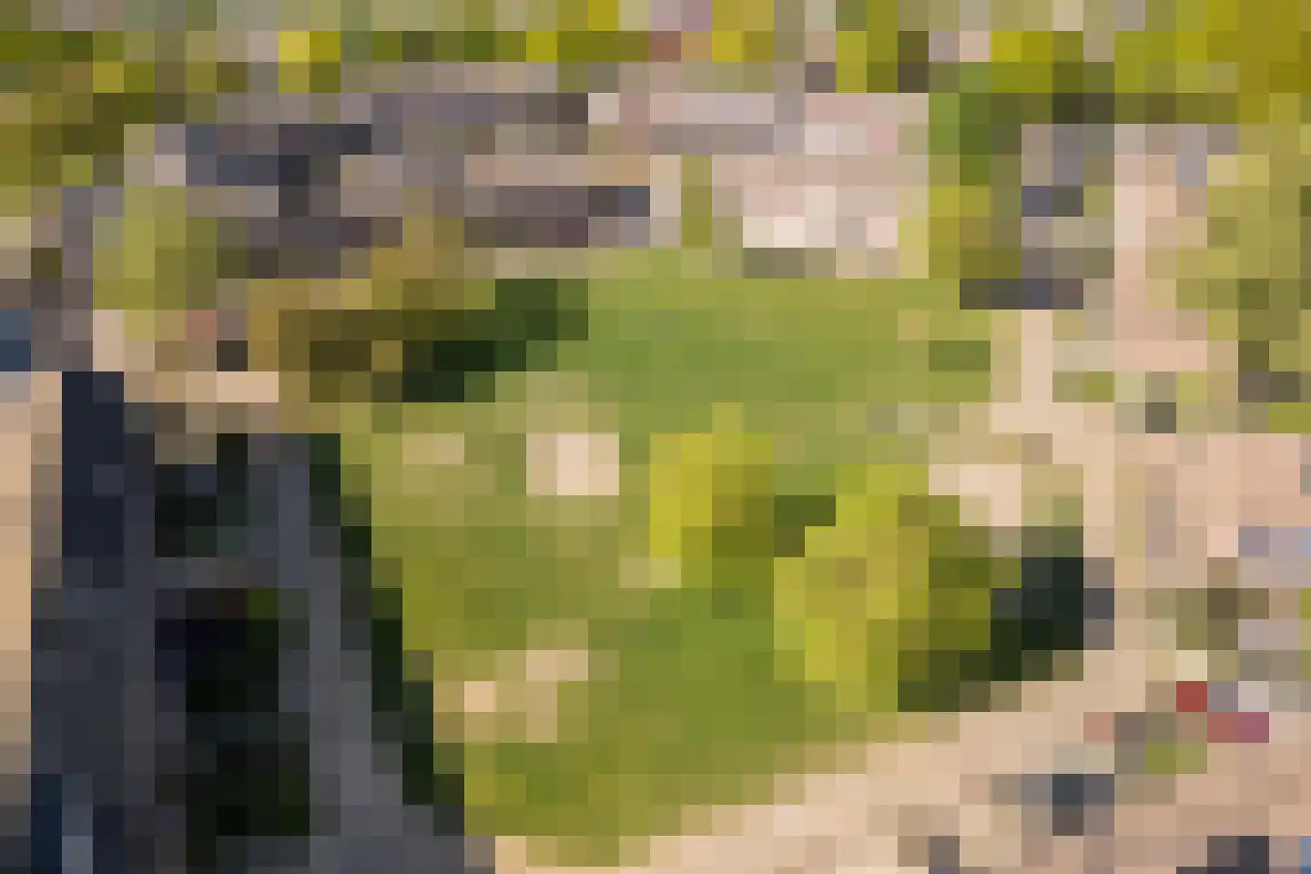 Hillekensacker 1111 Nijmegen thumbnail 63