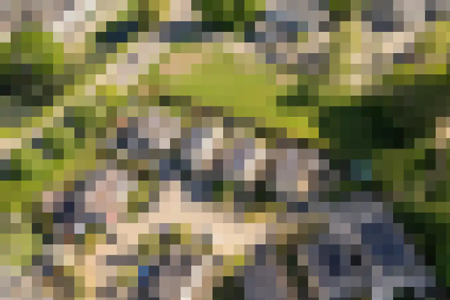 Hillekensacker 1111 Nijmegen thumbnail 65