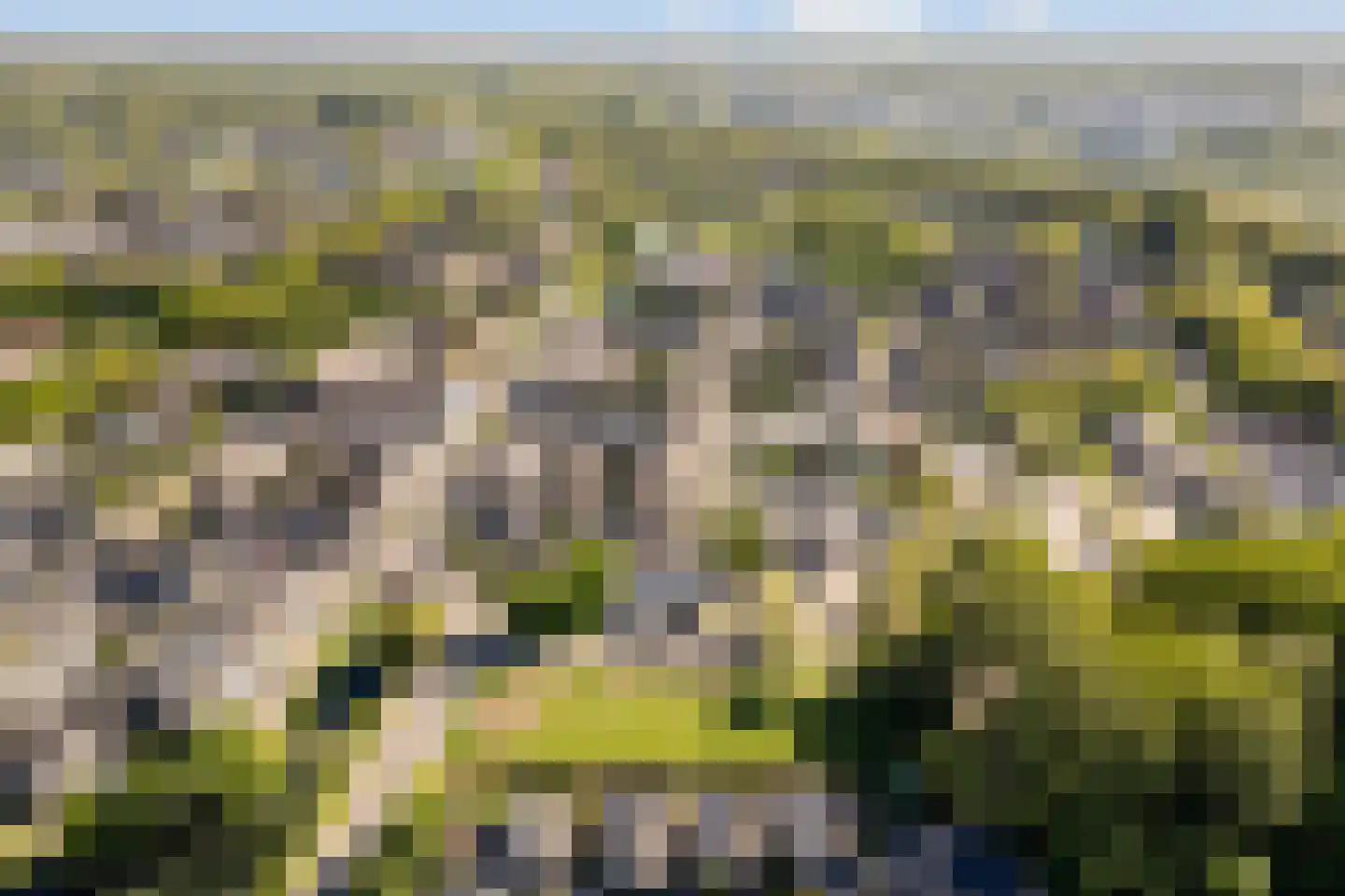 Hillekensacker 1111 Nijmegen thumbnail 66