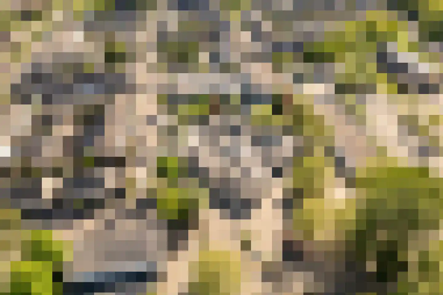 Hillekensacker 1111 Nijmegen thumbnail 67