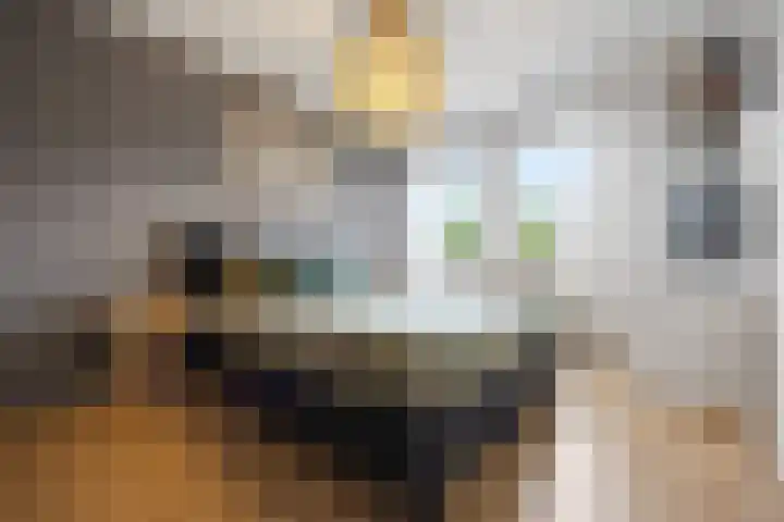 Hillekensacker 1218 Nijmegen thumbnail 12