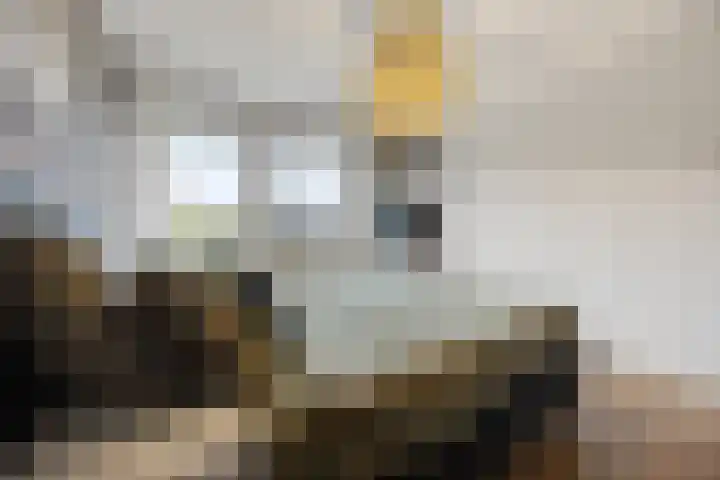 Hillekensacker 1218 Nijmegen thumbnail 13