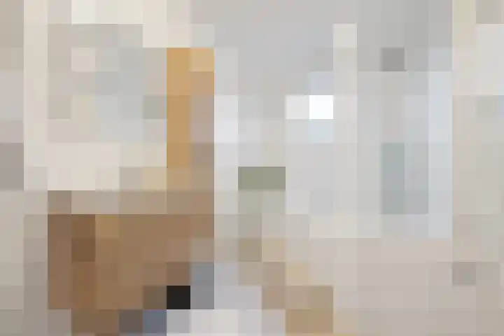 Hillekensacker 1218 Nijmegen thumbnail 18