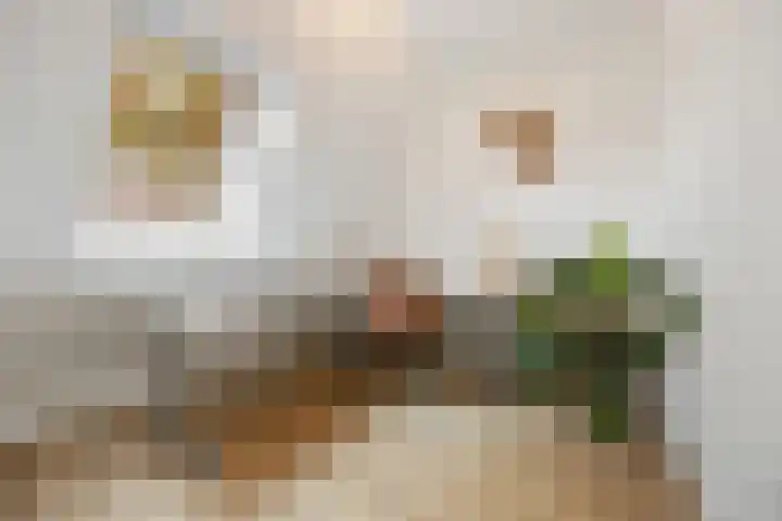 Hillekensacker 1218 Nijmegen thumbnail 22