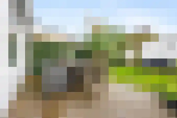 Hillekensacker 1218 Nijmegen thumbnail 27
