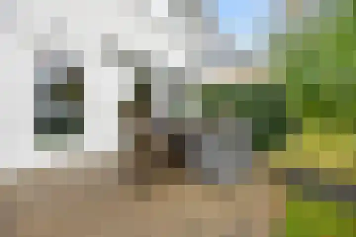 Hillekensacker 1218 Nijmegen thumbnail 28