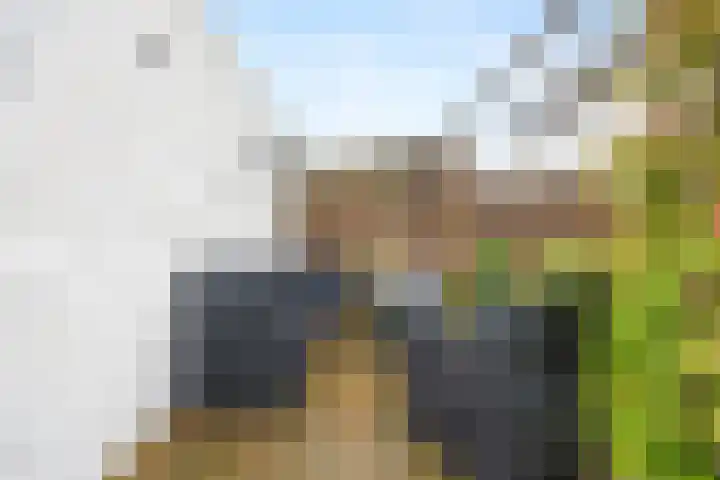 Hillekensacker 1218 Nijmegen thumbnail 29