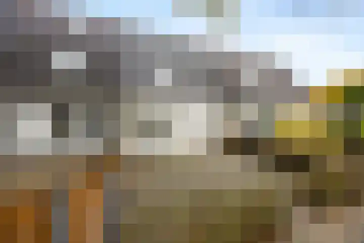 Hillekensacker 1218 Nijmegen thumbnail 33