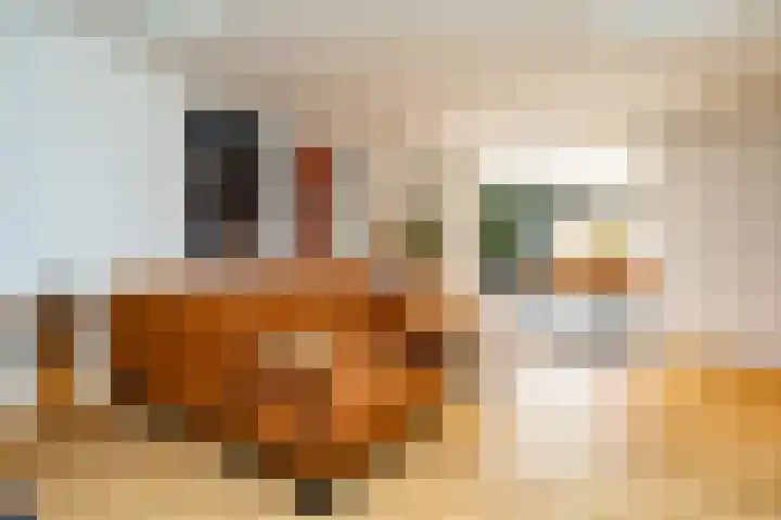 Hillekensacker 1222 Nijmegen thumbnail 10