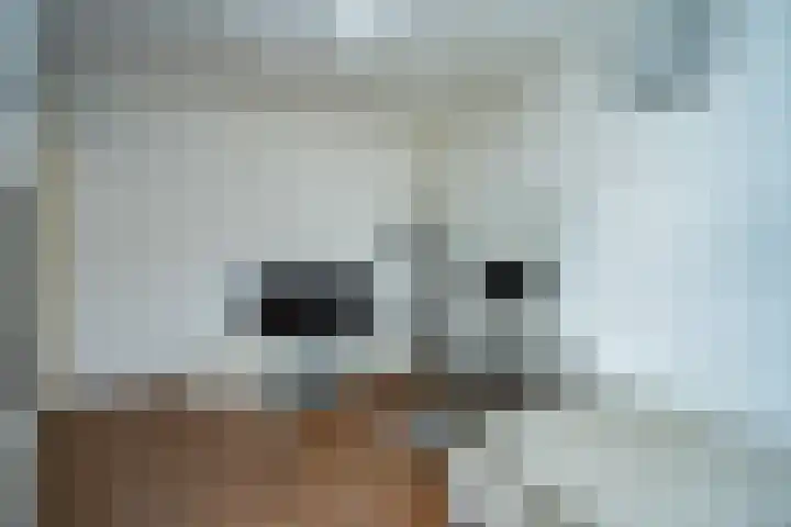 Hillekensacker 1222 Nijmegen thumbnail 20
