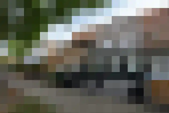 Hillekensacker 1222 Nijmegen thumbnail 27