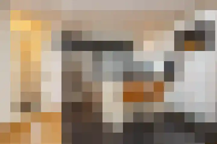 Hillekensacker 1222 Nijmegen thumbnail 5