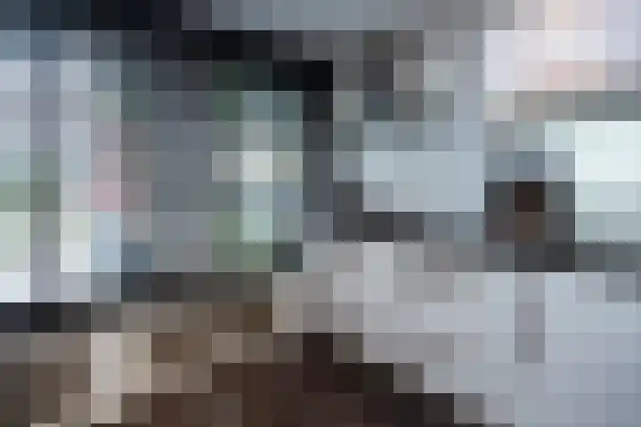 Hillekensacker 1222 Nijmegen thumbnail 6