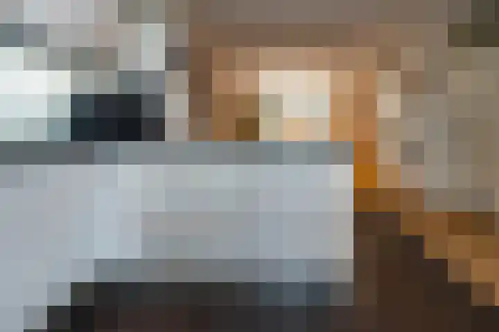 Hillekensacker 1222 Nijmegen thumbnail 7