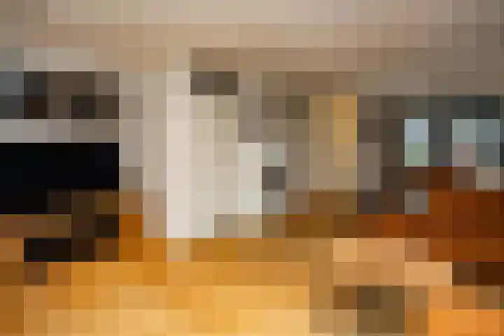 Hillekensacker 1222 Nijmegen thumbnail 9