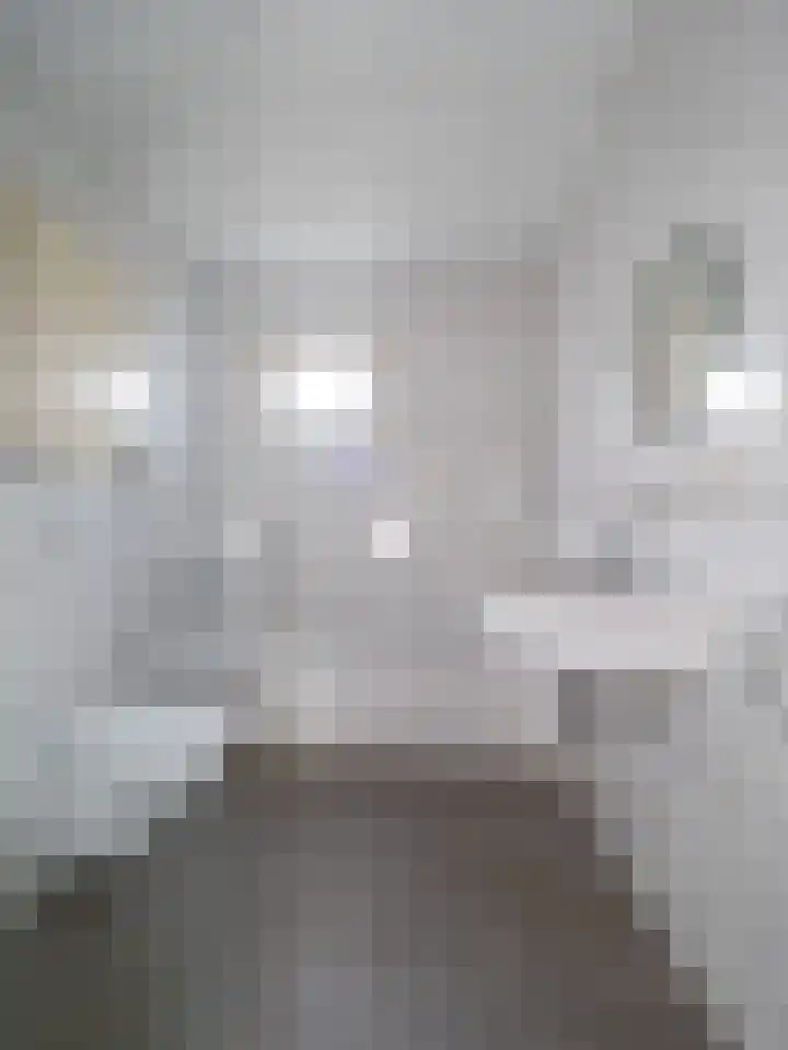 Hillekensacker 1232 Nijmegen thumbnail 14