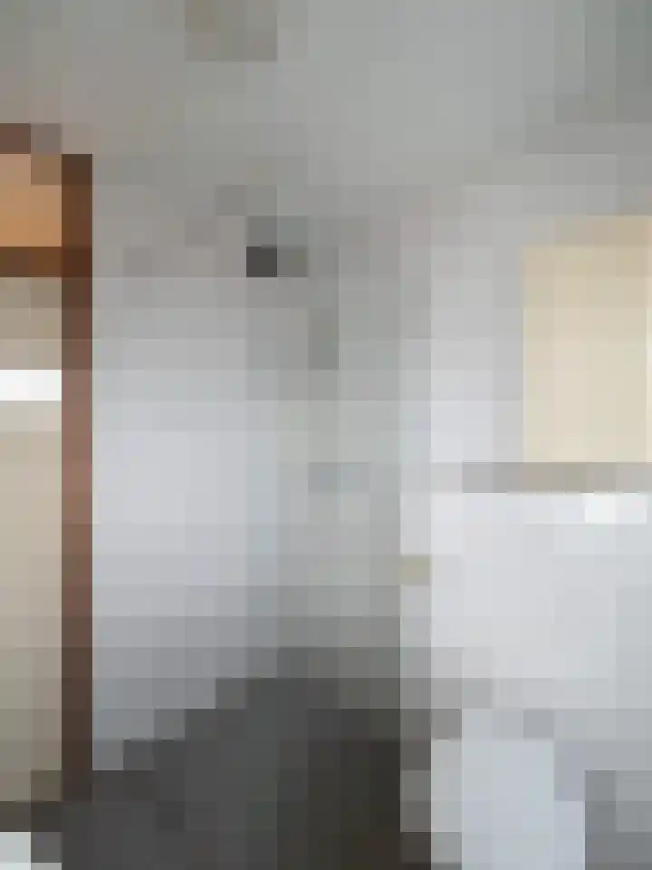 Hillekensacker 1232 Nijmegen thumbnail 15