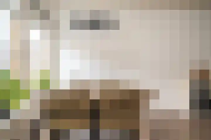 Hillekensacker 1238 Nijmegen thumbnail 13