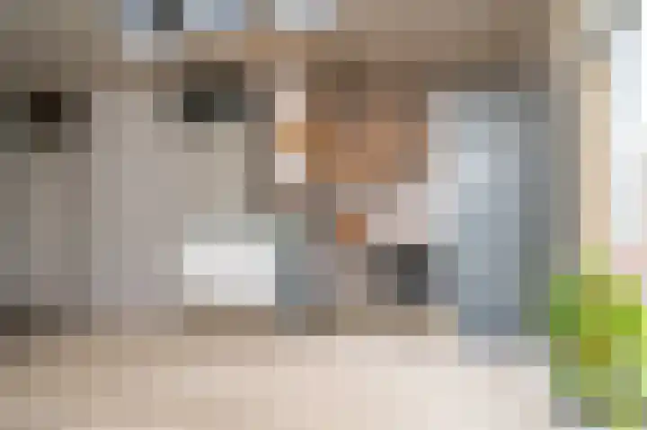 Hillekensacker 1238 Nijmegen thumbnail 9