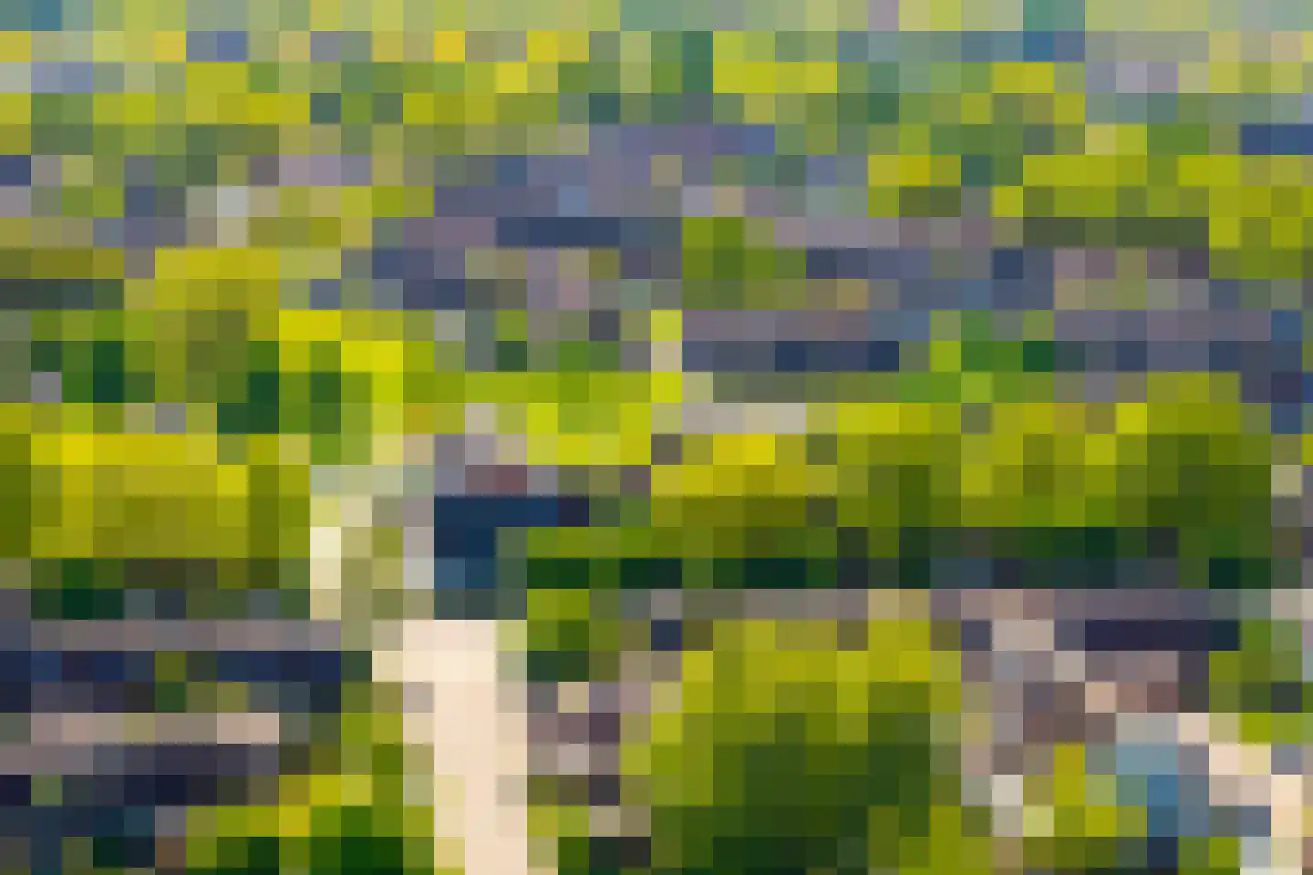 Hillekensacker 1258 Nijmegen thumbnail 6